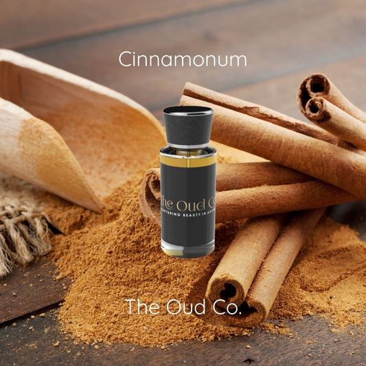 Cinnamomum Parfum | Inspired by P Supreme – Cinnamon, Spice & Woods | Warm Signature Scent